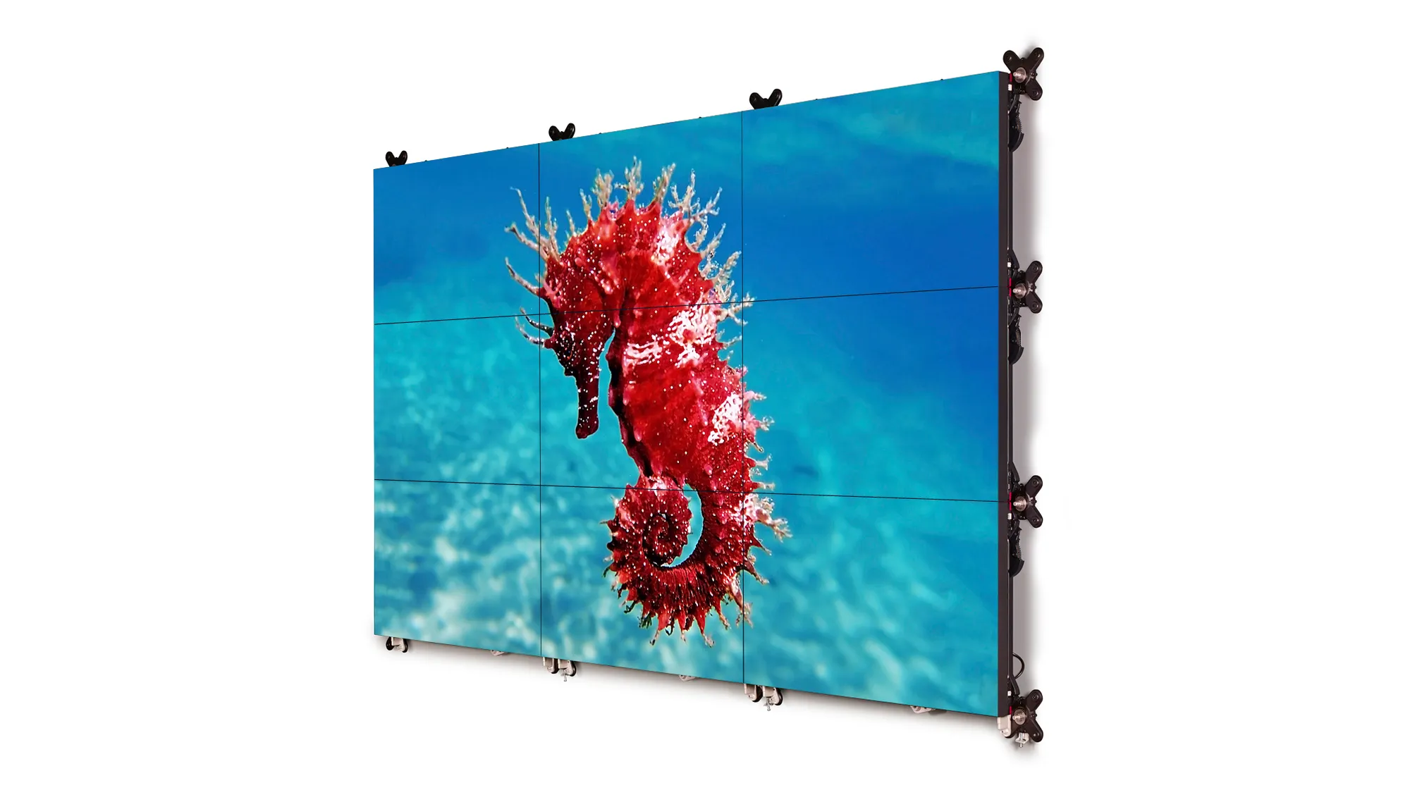 UniSee500-seahorse-tilted-2-jpg UniSee500-seahorse-tilted-2-jpg